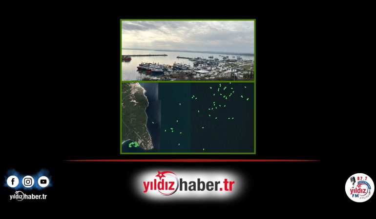 Kırklareli’nde Hamsi Bolluğu: Bir Haftada Yaklaşık 3 Bin Ton Karaya Çıkarıldı!