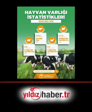 Türkiye’nin 2025 Yılı Hayvan Varlığı İstatistikleri Yayımlandı