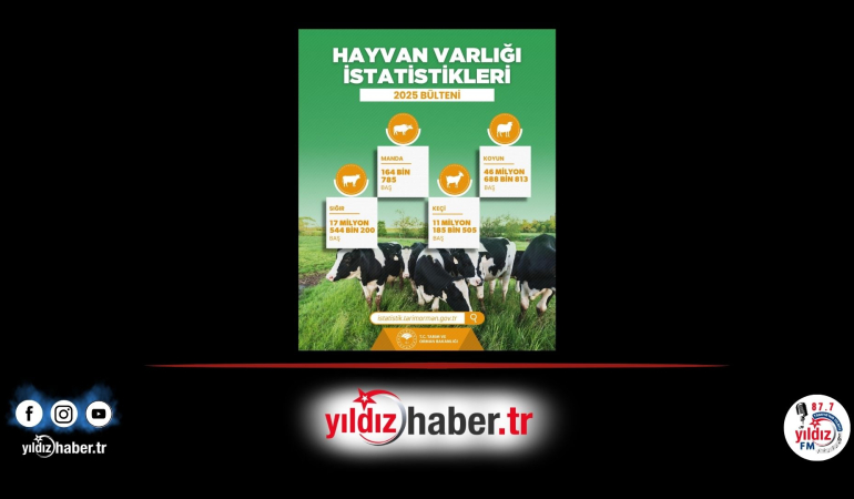 Türkiye’nin 2025 Yılı Hayvan Varlığı İstatistikleri Yayımlandı