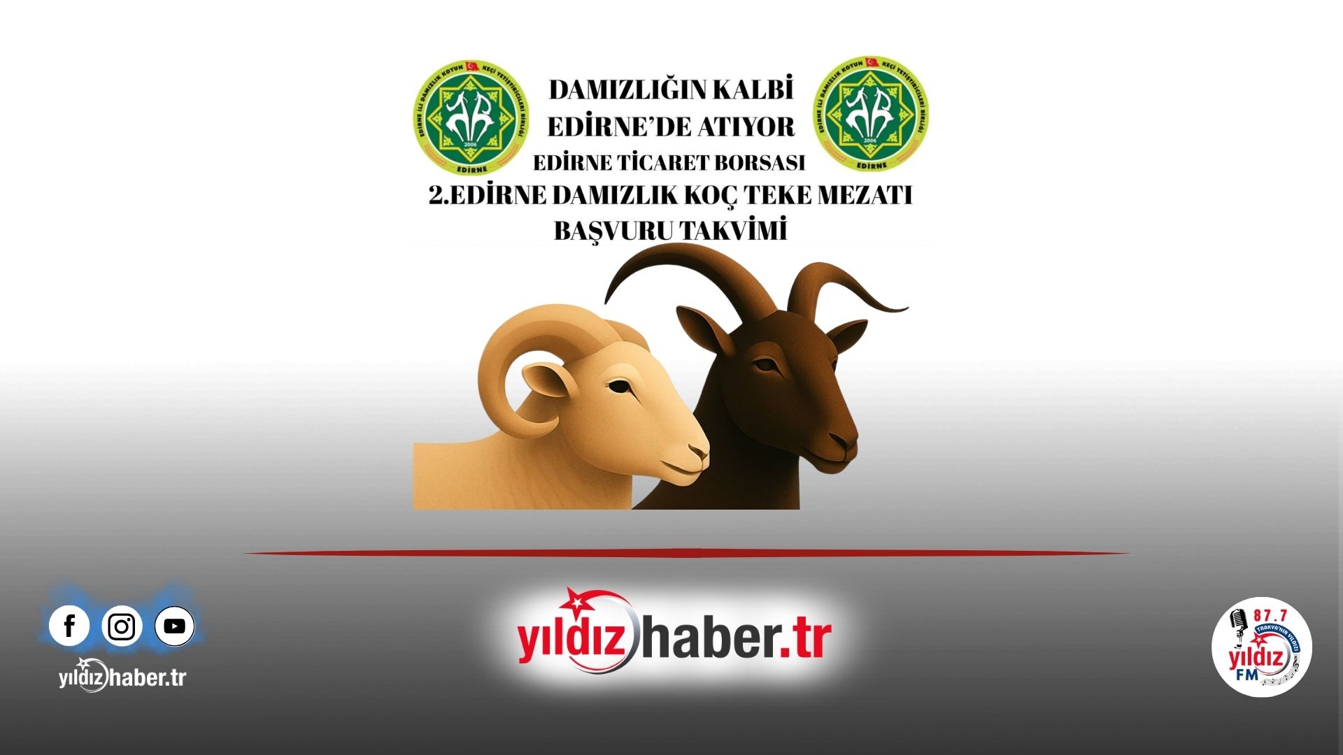 2. Edirne Damızlık Koç ve Teke Mezatı İçin Başvuru Süreci Başlıyor