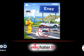 Enez’de Sivrisinek Seferberliği Çözüm Yoksa Para da Yok