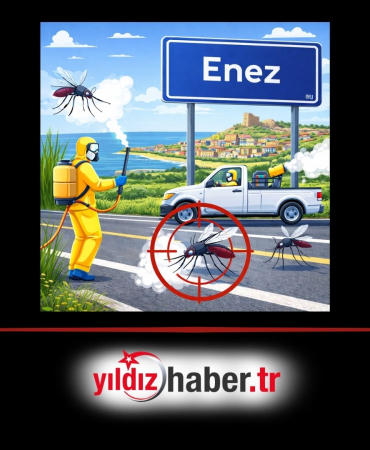 Enez’de Sivrisinek Seferberliği Çözüm Yoksa Para da Yok