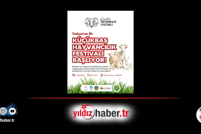 Küçükbaş Hayvancılık Festivali Malkara’da Başlıyor!