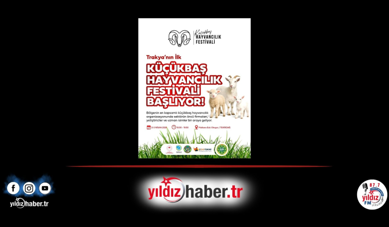 Küçükbaş Hayvancılık Festivali Malkara’da Başlıyor!