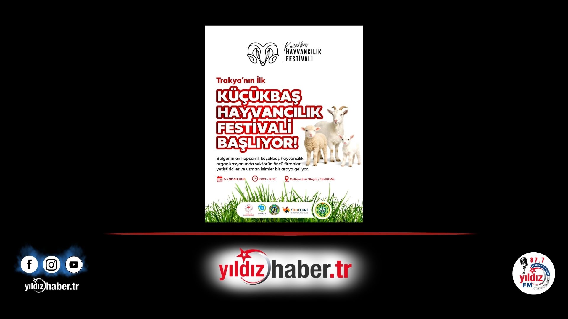 Küçükbaş Hayvancılık Festivali Malkara’da Başlıyor!