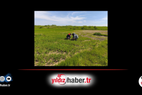 Edirne’de Tarım Arazilerinde Hasar Tespit Çalışmaları Tamamlandı