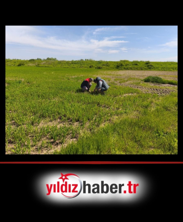 Edirne’de Tarım Arazilerinde Hasar Tespit Çalışmaları Tamamlandı
