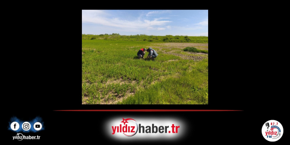 Edirne’de Tarım Arazilerinde Hasar Tespit Çalışmaları Tamamlandı