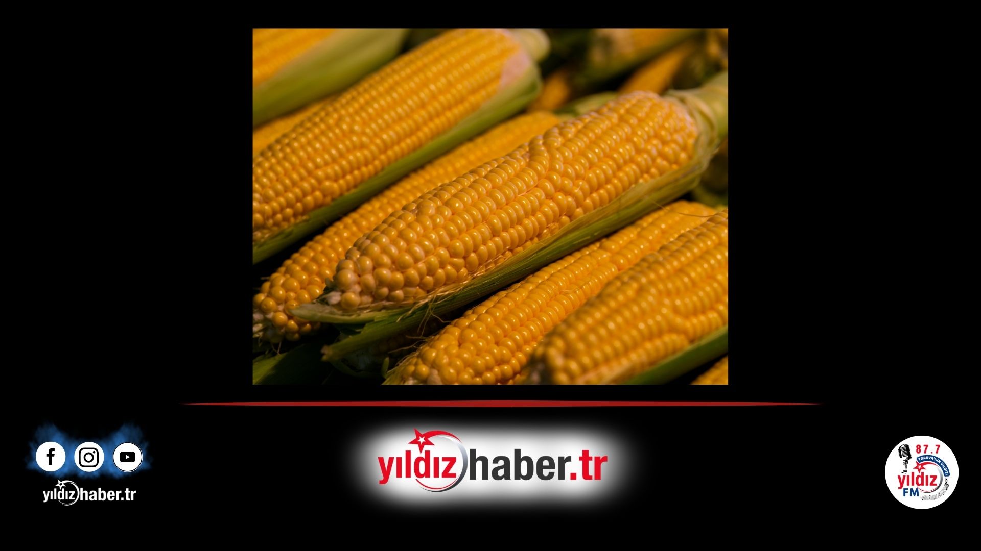 Mısır İthalatında Düşük Vergili Tarife Kontenjanı Açıldı 1 Milyon Tonluk İthalat İzni