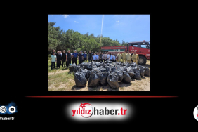Enez’de Orman Benim Seferberliği Kaymakam Merve Ayık ve Öğrencilerden Çevre Temizliği