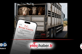 Kaçak Hayvan Sevk Edenlere Cezalar Belli Oldu! İşte Hayvan Başına ve Araç Başına Yeni Tarifeler