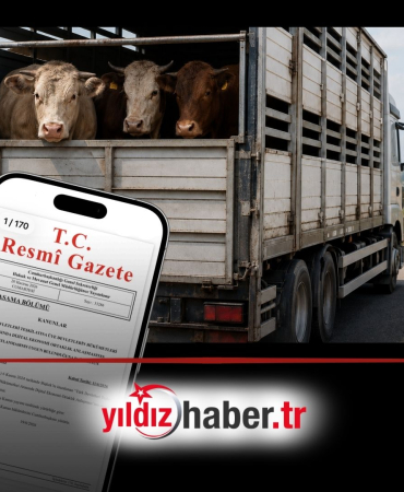 Kaçak Hayvan Sevk Edenlere Cezalar Belli Oldu! İşte Hayvan Başına ve Araç Başına Yeni Tarifeler