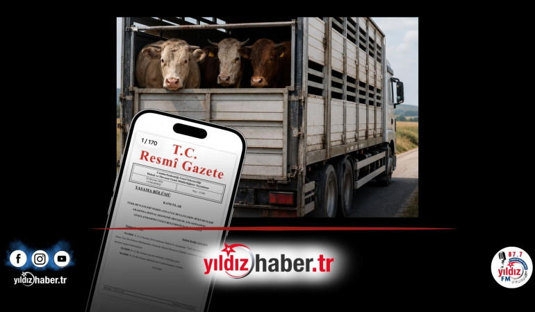 Kaçak Hayvan Sevk Edenlere Cezalar Belli Oldu! İşte Hayvan Başına ve Araç Başına Yeni Tarifeler