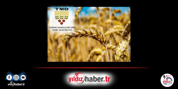 TMO 2026 Yılı Hububat Alım Fiyatlarını Açıkladı