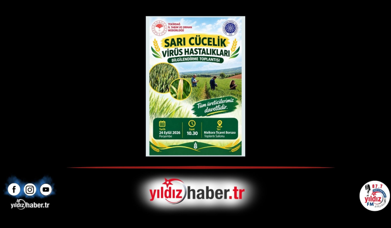 Tahılda Verim Kaybına Karşı Kritik Uyarı: Malkara’da Çiftçiye ‘Sarı Cücelik Virüsü’ Eğitimi!